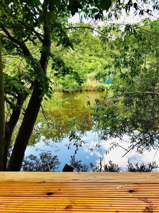 Naabsuite Neustadt an der Waldnaab Zewnętrze zdjęcie